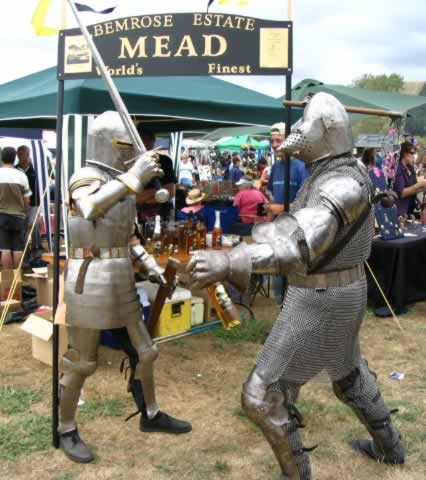 Mediaeval knights